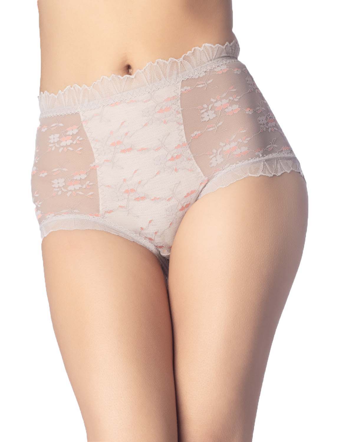 Women's Sheer Lace Trim See Through Transparent Mesh High Waisted Hipster Panties