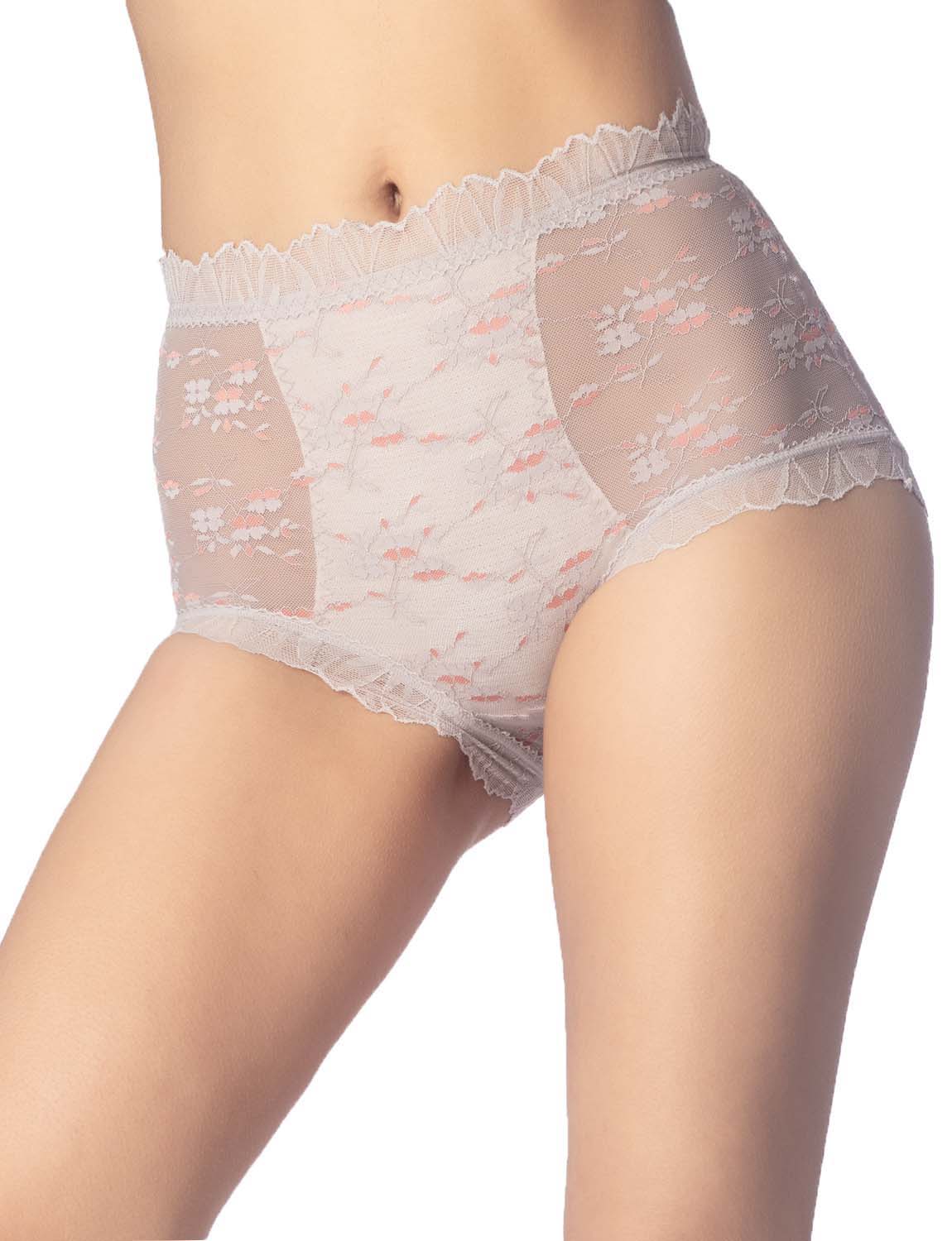 Women's Sheer Lace Trim See Through Transparent Mesh High Waisted Hipster Panties