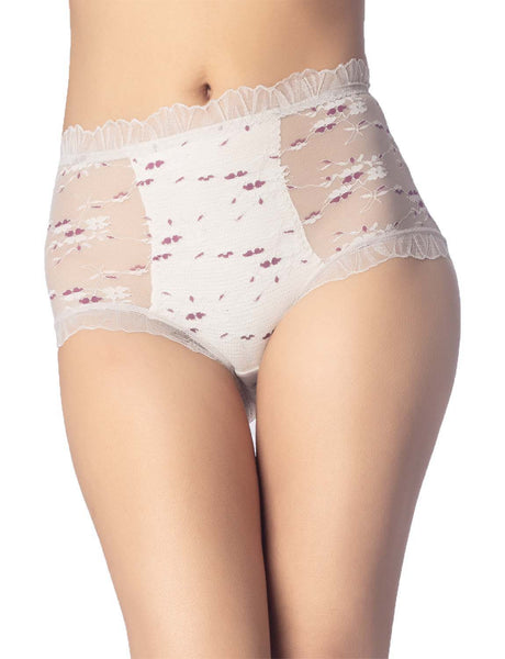 Women's Sheer Lace Trim See Through Transparent Mesh High Waisted Hipster Panties