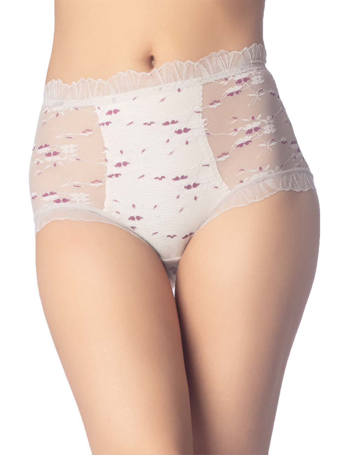 Women's Sheer Lace Trim See Through Transparent Mesh High Waisted Hipster Panties