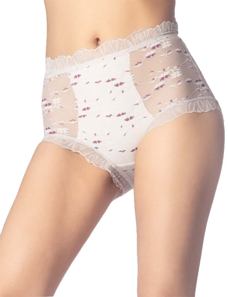 Women's Sheer Lace Trim See Through Transparent Mesh High Waisted Hipster Panties